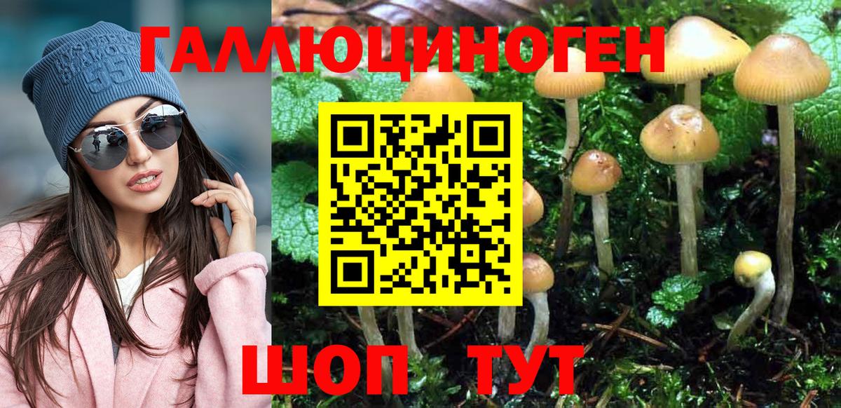 Псилоцибиновые грибы Psilocybine cubensis  Вход с VPN  Белореченск 